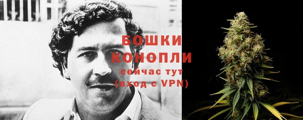 шишки Кукмор