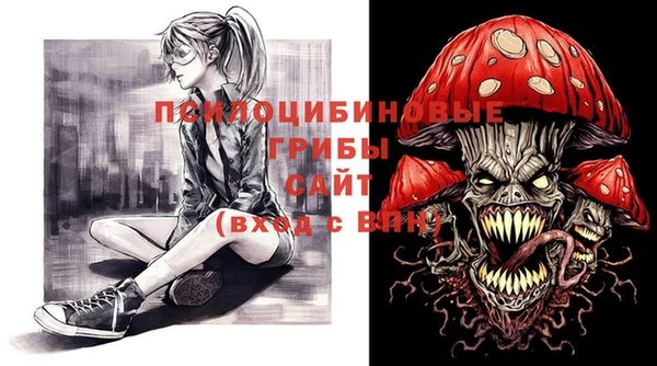 мет Ладушкин