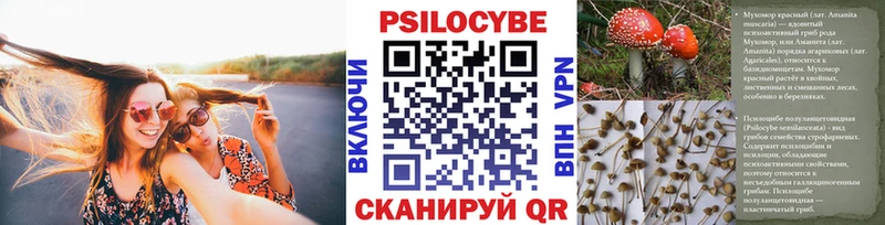 Галлюциногенные грибы MAGIC MUSHROOMS  где можно купить наркотик  Лихославль 